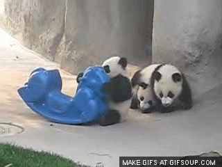 panda-struggle-o